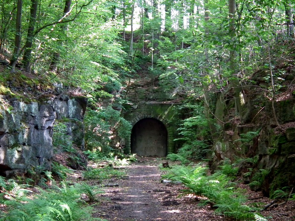 2020-07-18 Cottaer Tunnel, 10