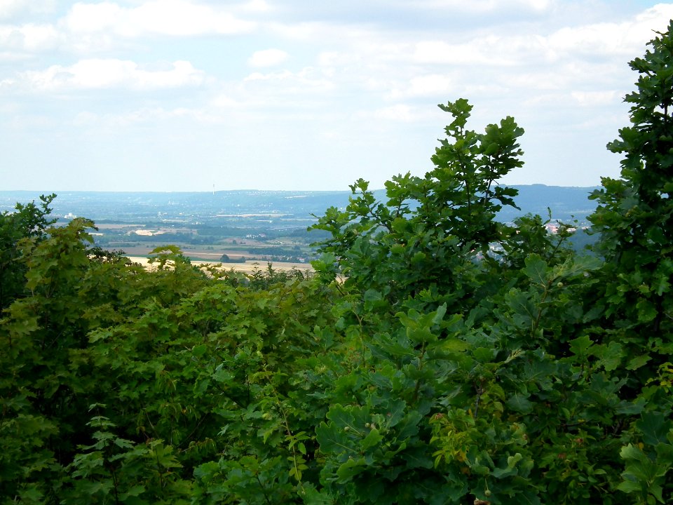 2020-07-18 Cottaer Spitzberg 48