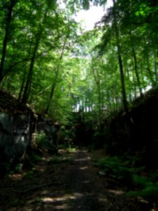 2020-07-18 Cottaer Tunnel, 01