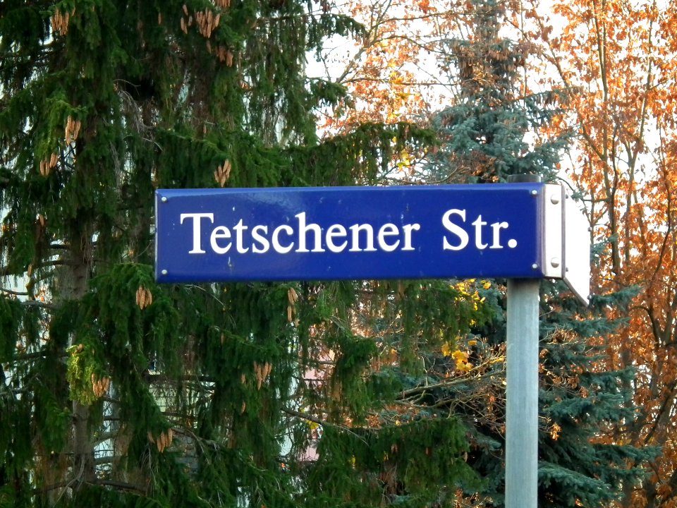 2020-11-14 Tetschener Straße, Dresden 01