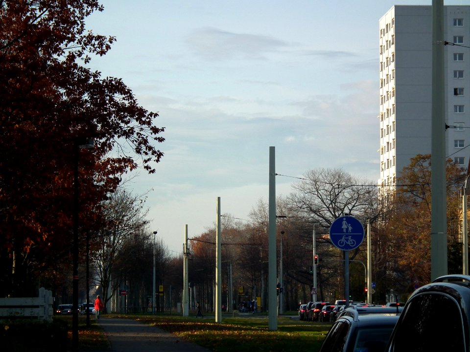 2020-11-14 Stübelallee, Dresden 02