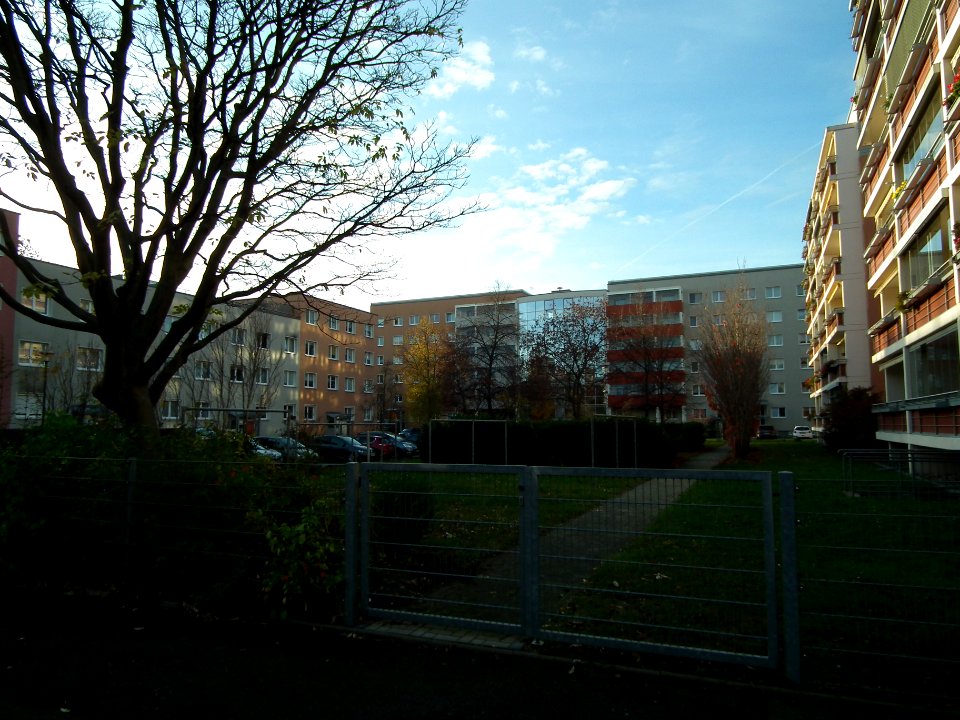 2020-11-14 Wiesenstraße (Gruna), Dresden 04