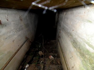 2020-07-18 Cottaer Spitzberg 04