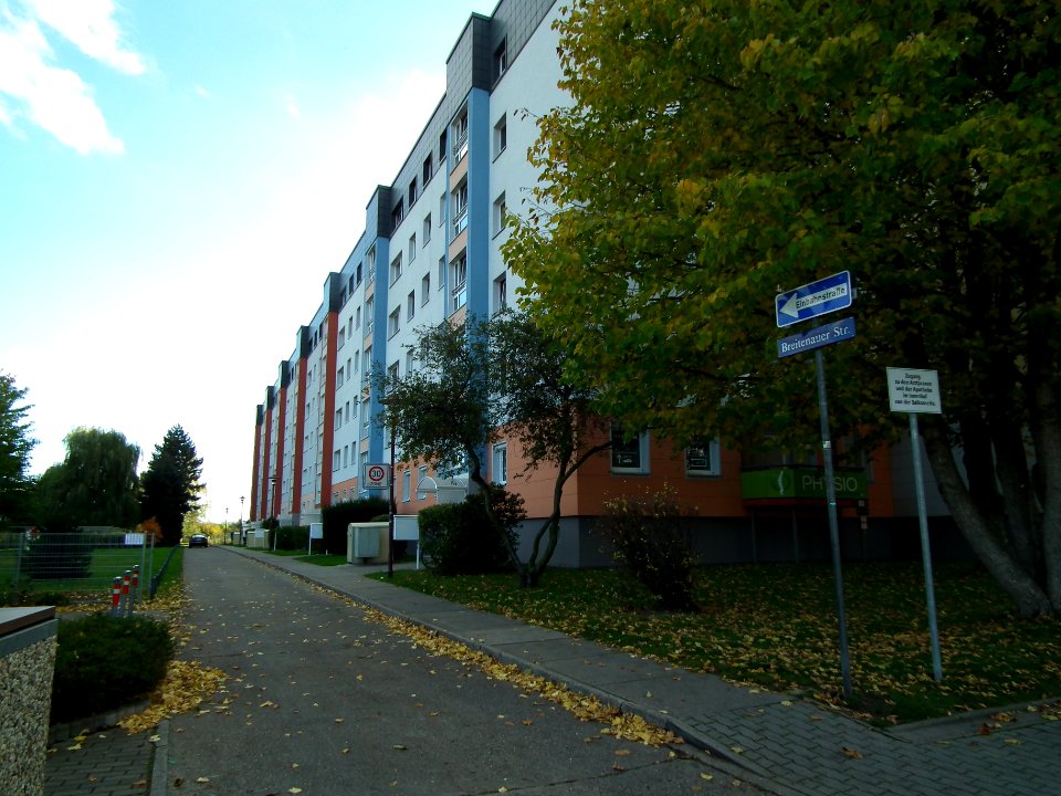 2020-10-24 Breitenauer Straße, Dresden 02