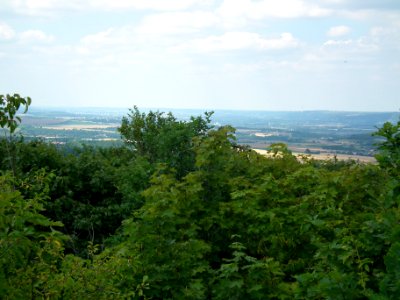 2020-07-18 Cottaer Spitzberg 47
