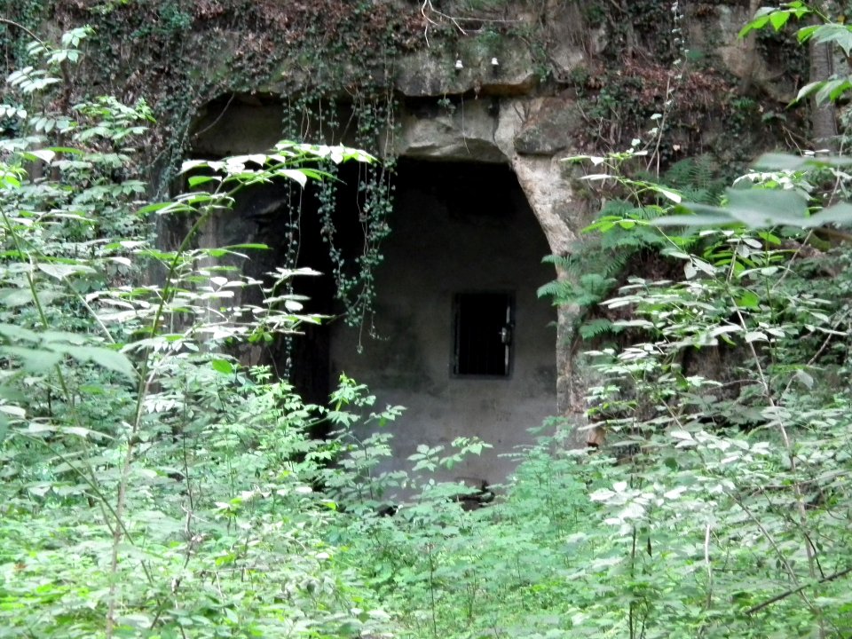 2020-07-18 Cottaer Tunnel, 13