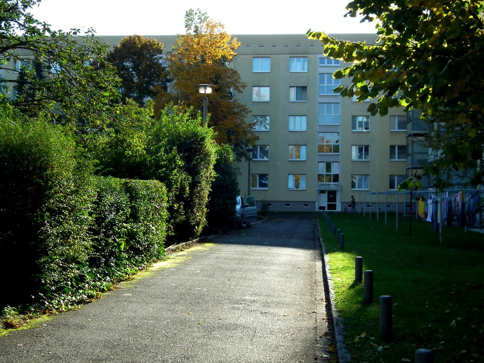 2020-10-24 Am Winkelsprung, Dresden 03