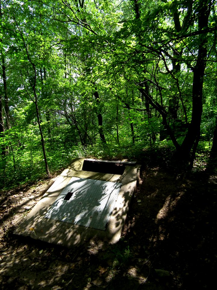 2020-07-18 Cottaer Spitzberg 03