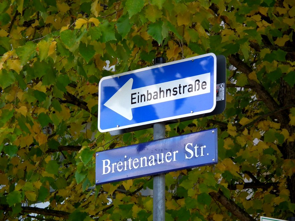 2020-10-24 Breitenauer Straße, Dresden 01
