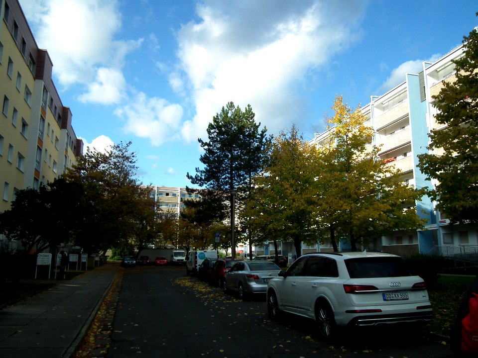 2020-10-24 Breitenauer Straße, Dresden 05