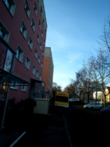 2020-11-14 Wiesenstraße (Gruna), Dresden 02