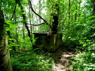2020-07-18 Cottaer Spitzberg 01