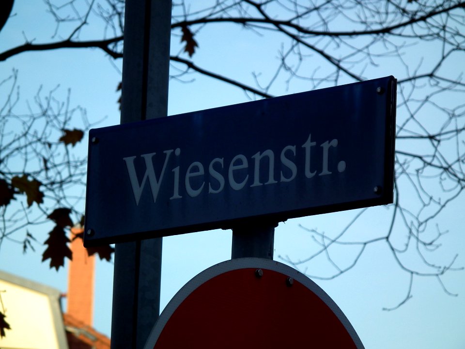 2020-11-14 Wiesenstraße (Gruna), Dresden 01