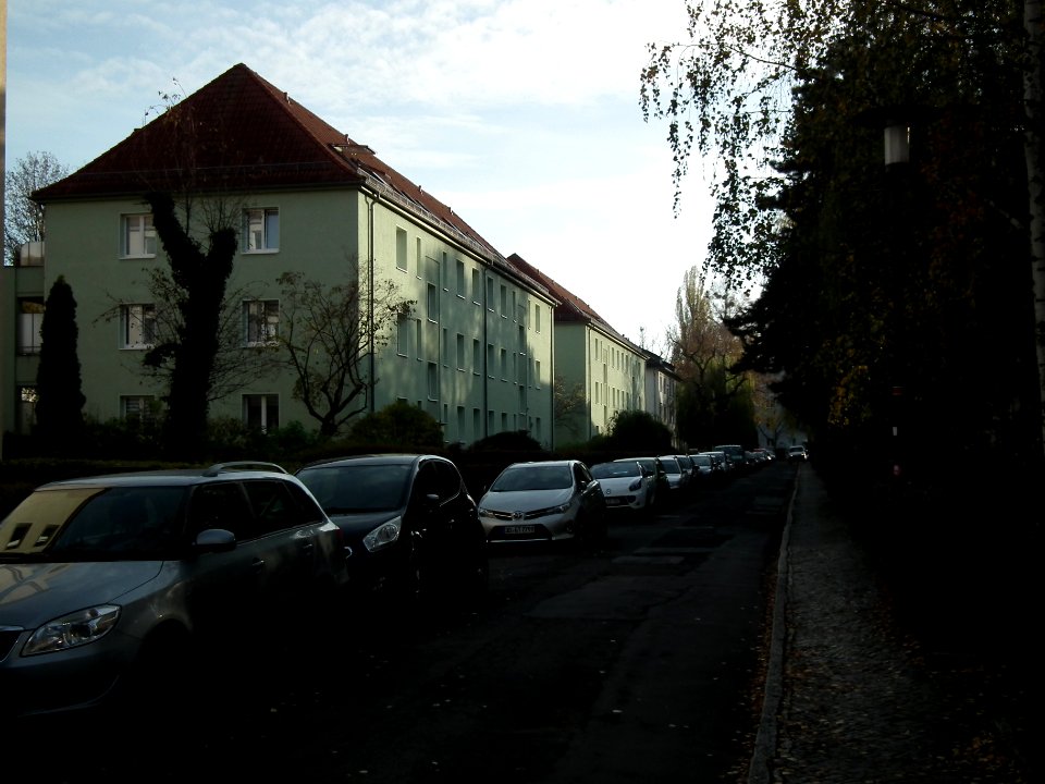 2020-11-14 Siebekingstraße, Dresden 07