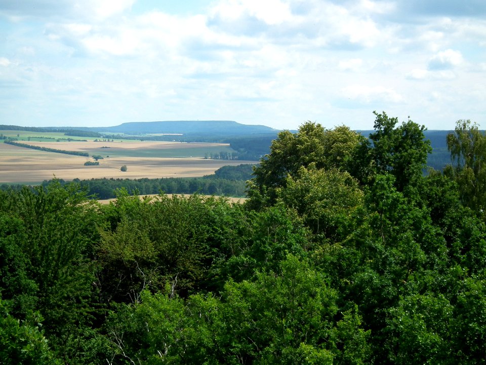 2020-07-18 Cottaer Spitzberg 35