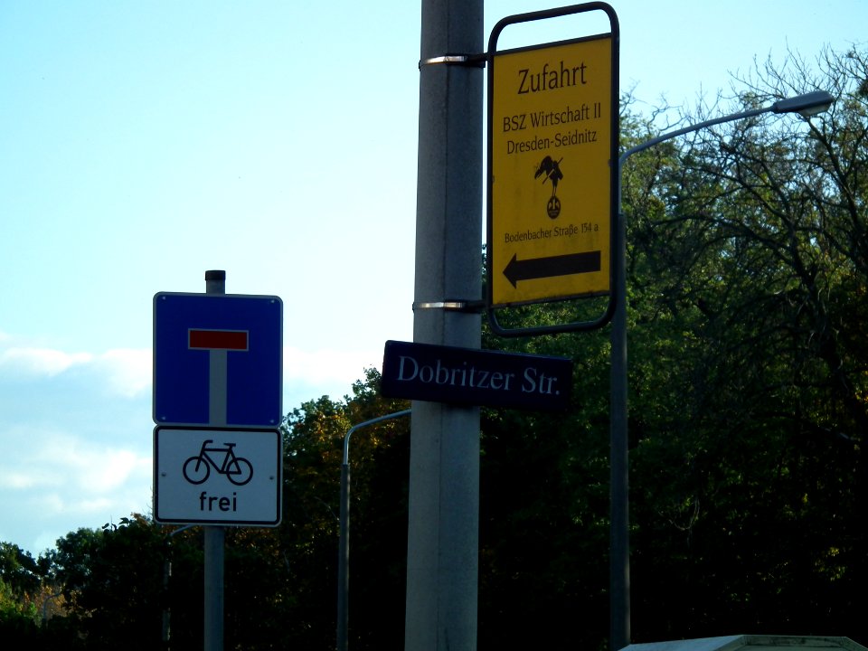 2020-10-24 Dobritzer Straße, Dresden 08