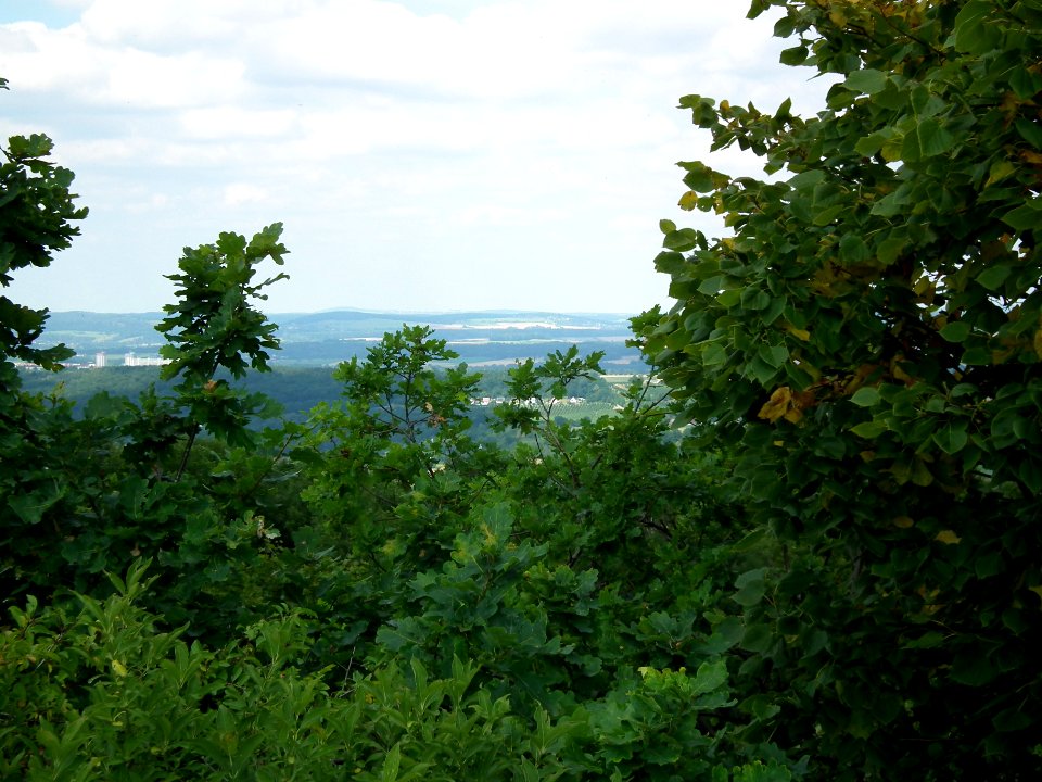 2020-07-18 Cottaer Spitzberg 50