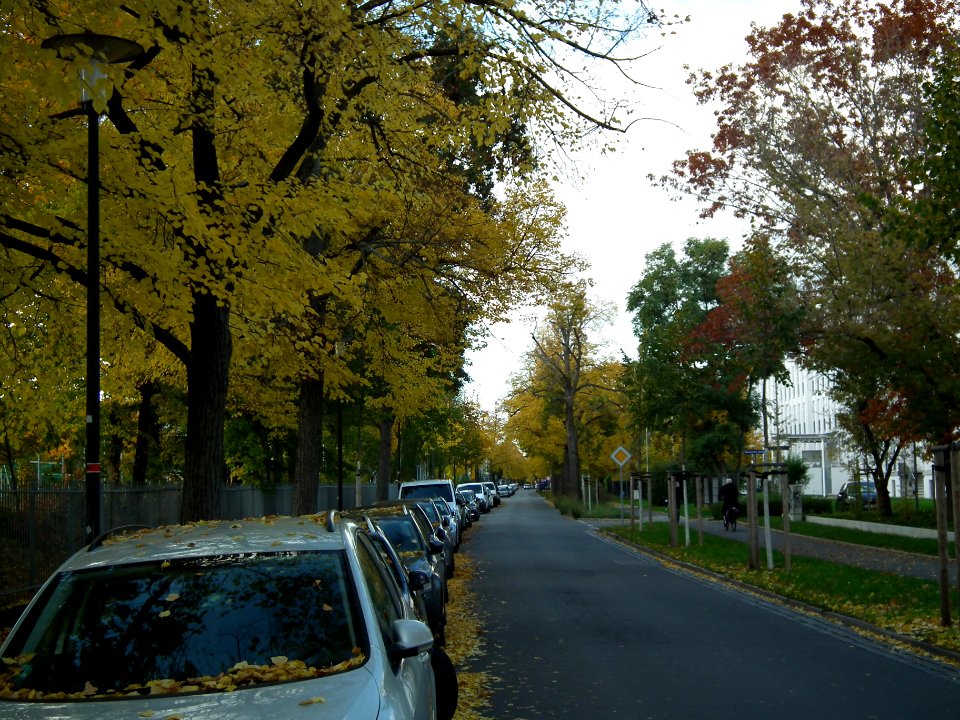 2020-10-24 Hepkestraße, Dresden 01