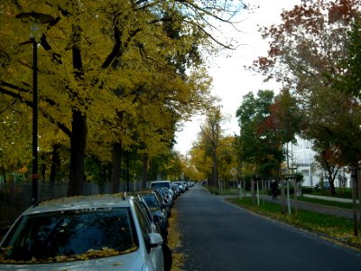 2020-10-24 Hepkestraße, Dresden 01