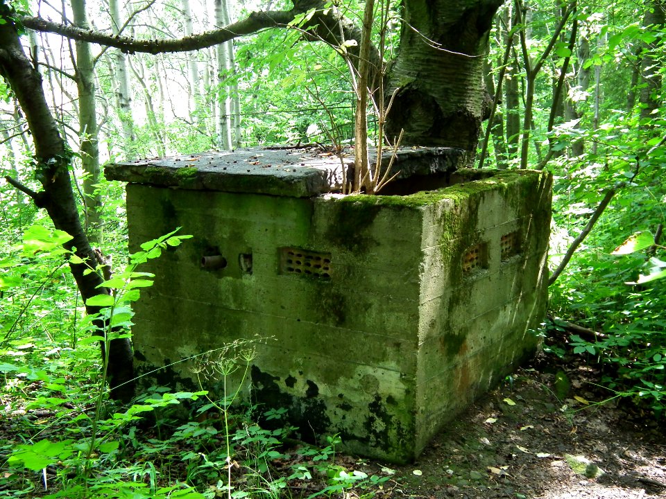 2020-07-18 Cottaer Spitzberg 02