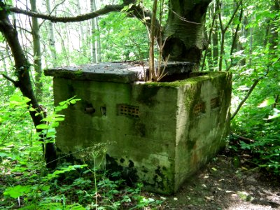 2020-07-18 Cottaer Spitzberg 02