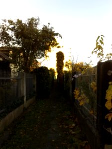 2020-11-07 Am Landgraben, Dresden 04