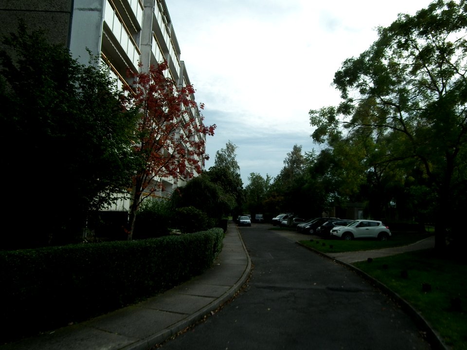 2020-10-03 Radtour in Dresden 57