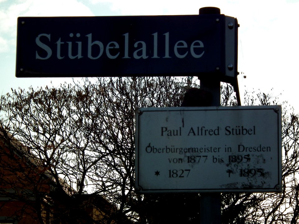2020-11-14 Stübelallee, Dresden 01