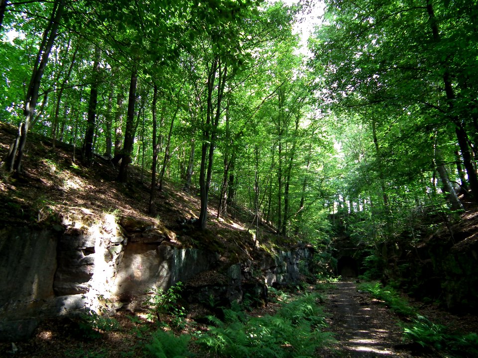 2020-07-18 Cottaer Tunnel, 09