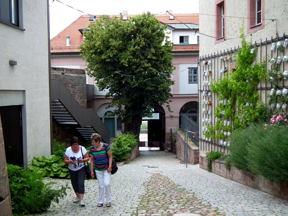 2020-06-26 Leuchtenburg 044