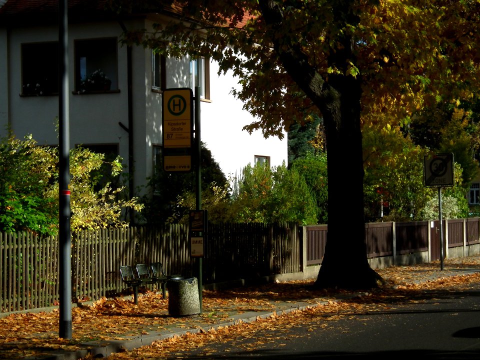 2020-10-24 Kipsdorfer Straße, Dresden 05