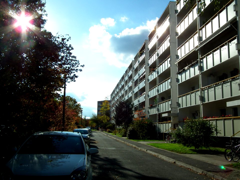2020-10-24 Reichenauer Weg, Dresden 02