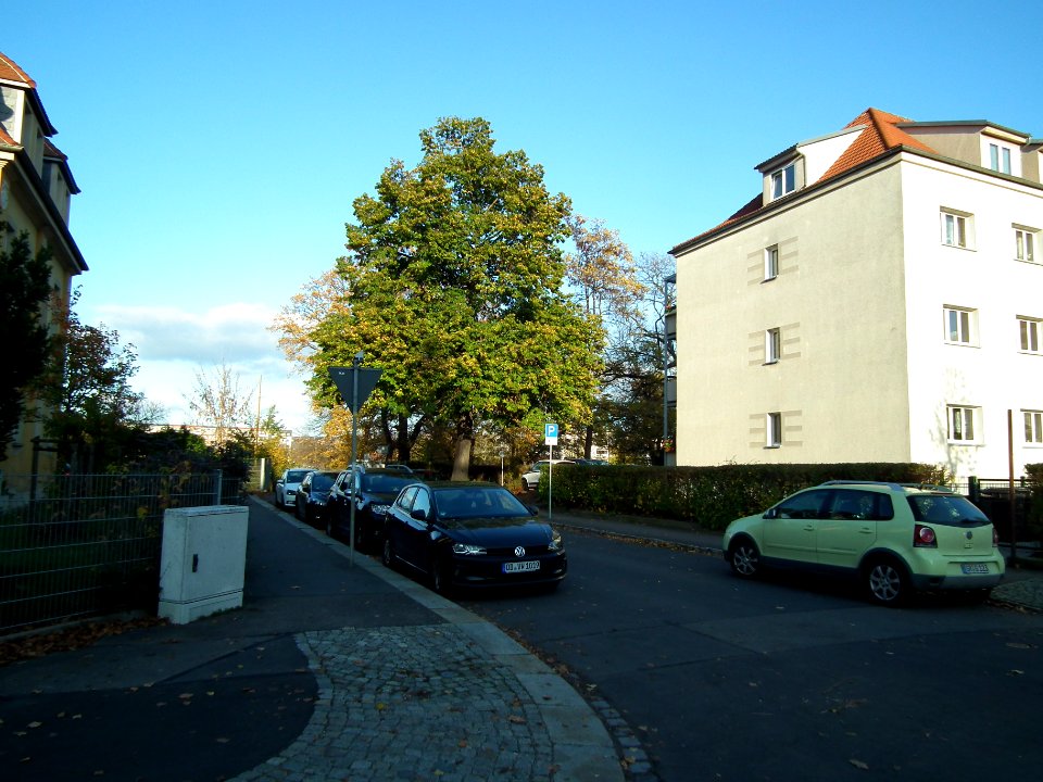 2020-11-05 Nätherstraße, Dresden 08