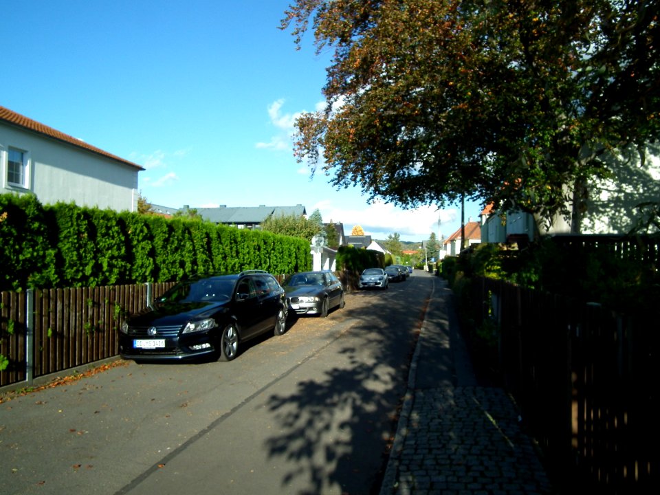 2020-10-24 Paracelsusstraße, Dresden 03