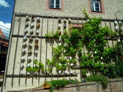 2020-06-26 Leuchtenburg 042
