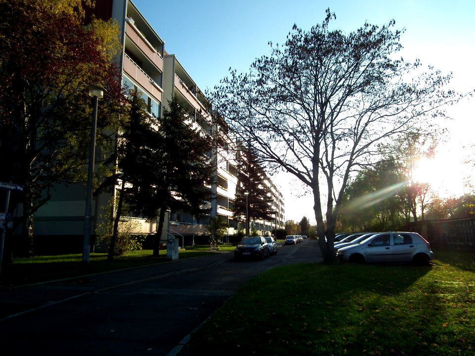 2020-11-05 Bärenburger Weg, Dresden 03