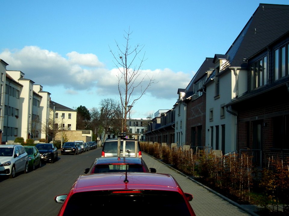 2020-11-05 Borthener Straße, Dresden 07