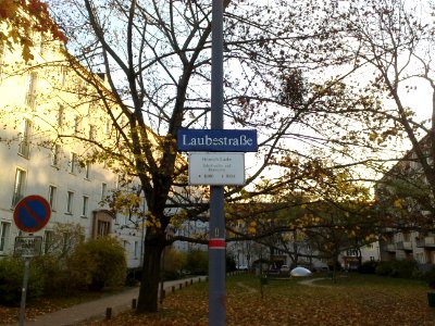 2020-11-07 Laubestraße, Dresden 01