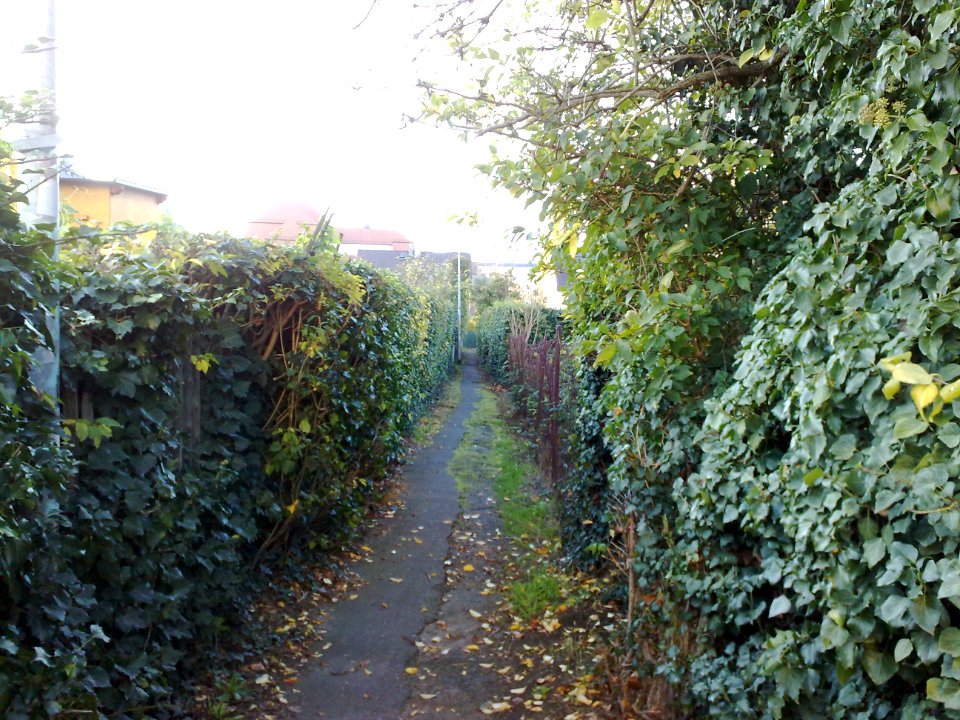 2020-11-07 Am Landgraben, Dresden 06