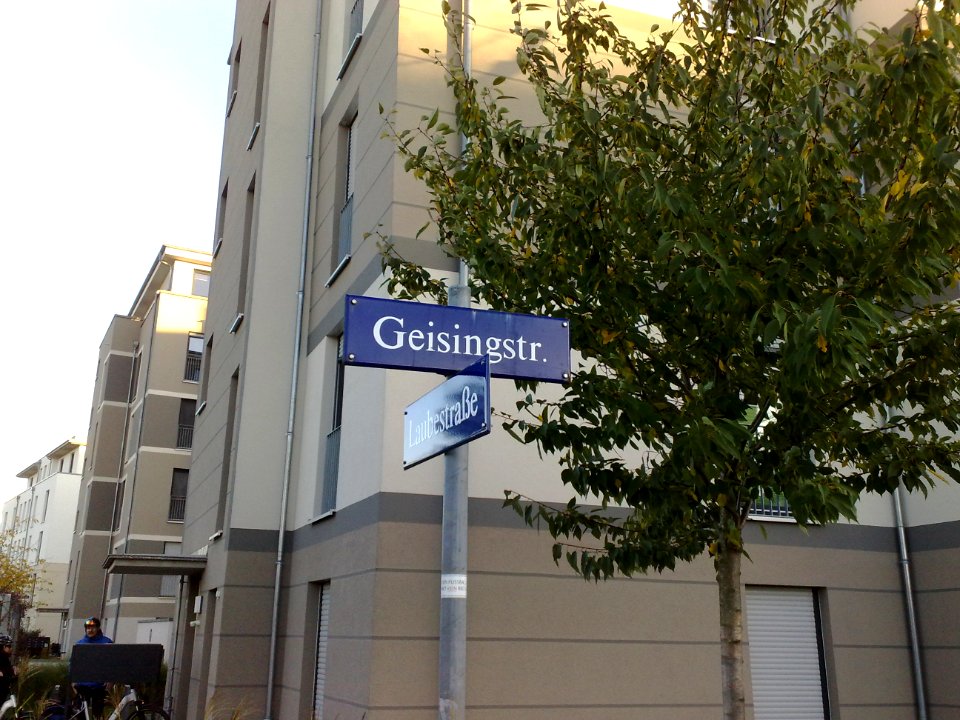 2020-11-07 Geisingstraße, Dresden 01
