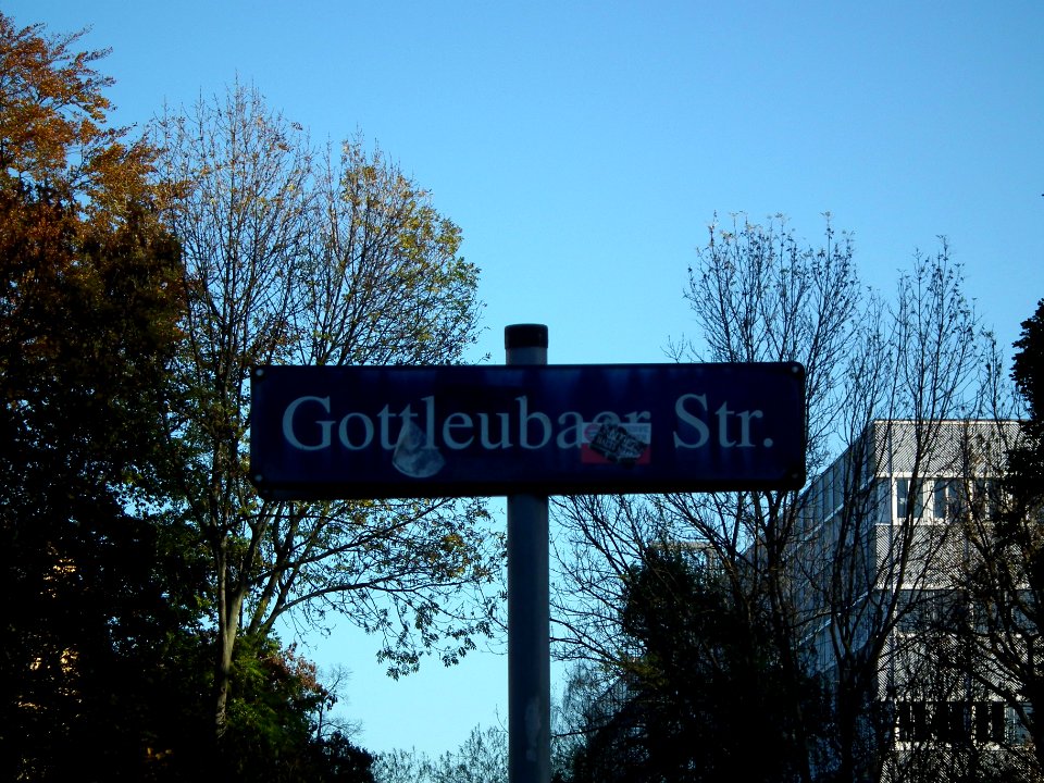 2020-11-07 Gottleubaer Straße, Dresden 01