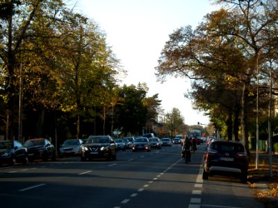 2020-11-05 Winterbergstraße, Dresden 04