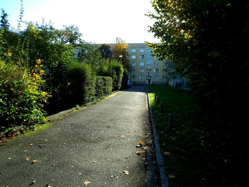 2020-10-24 Am Winkelsprung, Dresden 02