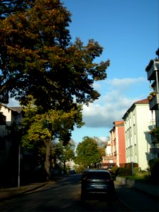 2020-11-05 Nätherstraße, Dresden 05