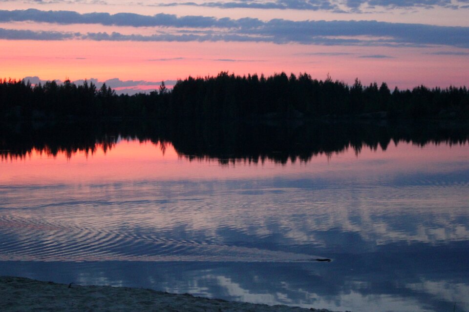 Dawn nature reflection
