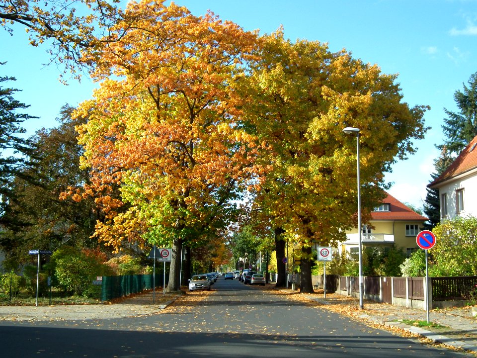 2020-10-24 Kipsdorfer Straße, Dresden 06
