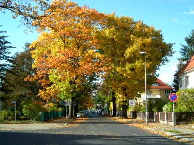 2020-10-24 Kipsdorfer Straße, Dresden 06