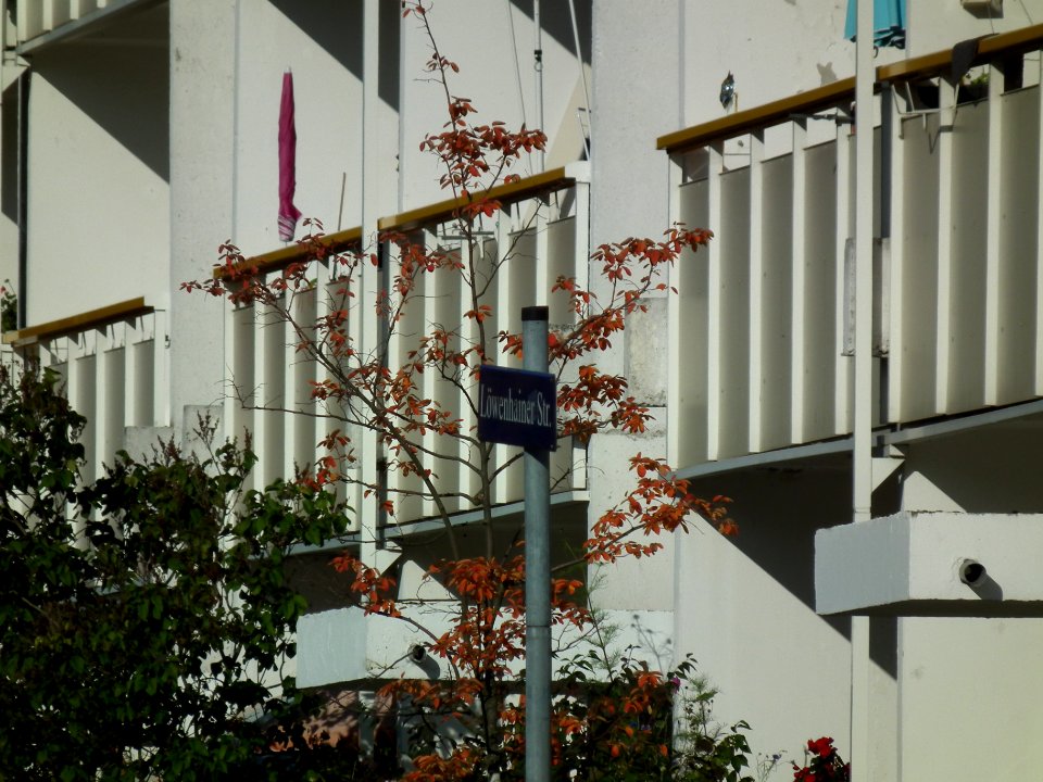 2020-10-24 Löwenhainer Straße, Dresden 08