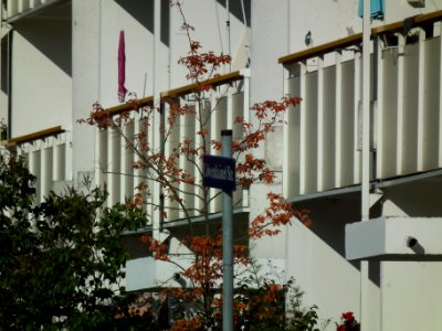 2020-10-24 Löwenhainer Straße, Dresden 08