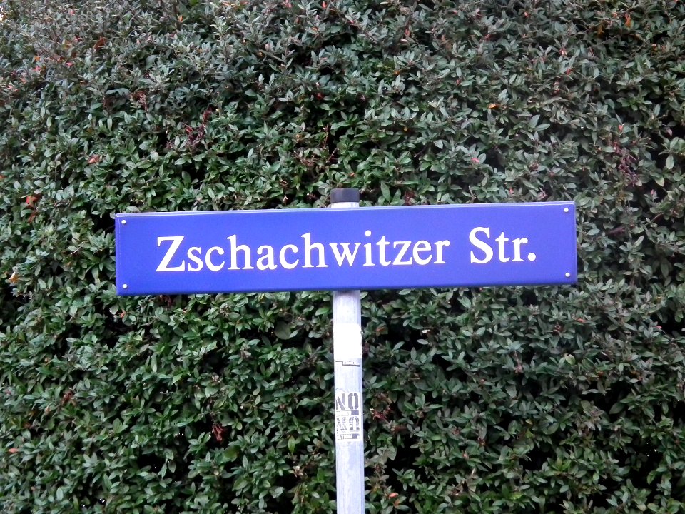 2020-11-05 Zschachwitzer Straße, Dresden 01